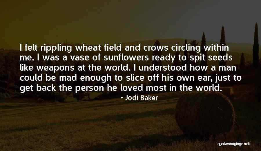 World Going Mad Quotes By Jodi Baker World Going Mad Quotes By Jodi Baker