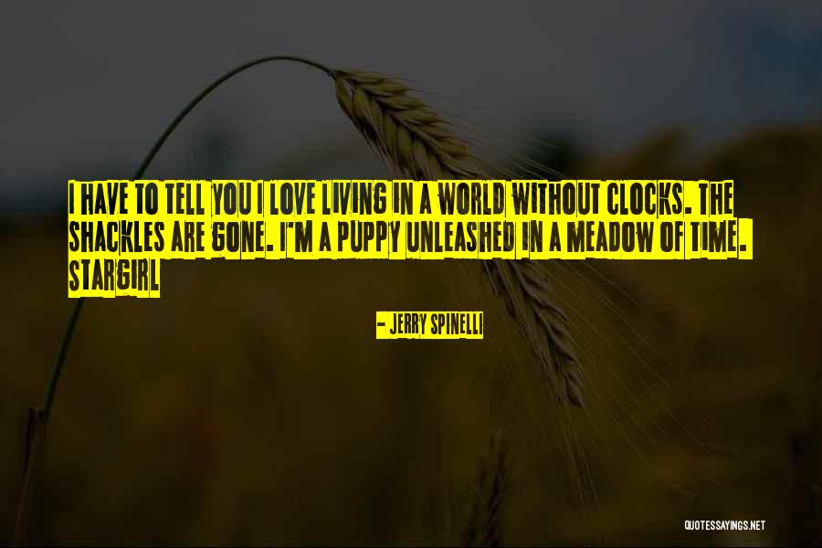 World Gone Quotes By Jerry Spinelli World Gone Quotes By Jerry Spinelli
