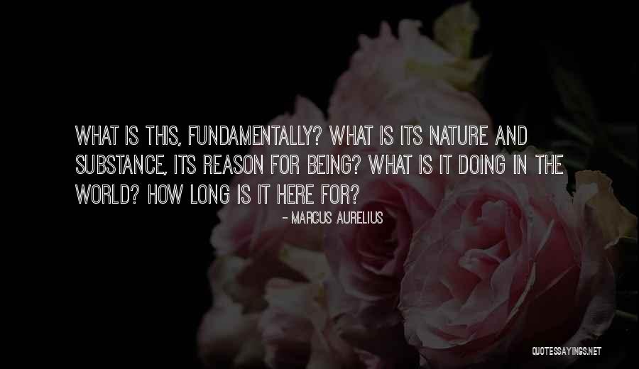 World Here Quotes By Marcus Aurelius World Here Quotes By Marcus Aurelius
