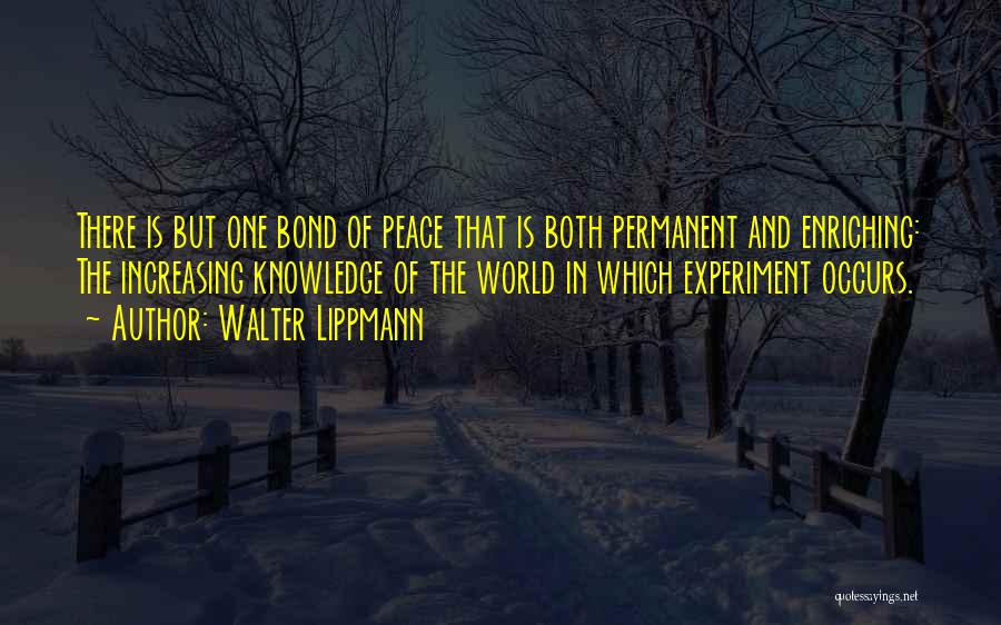 World In Peace Quotes By Walter Lippmann