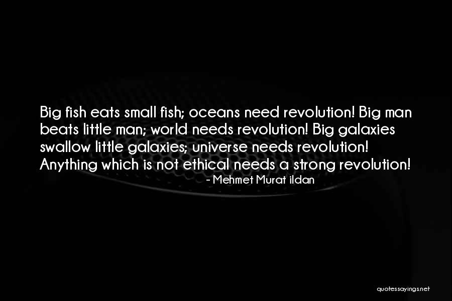 World Is Big Quotes By Mehmet Murat Ildan World Is Big Quotes By Mehmet Murat Ildan