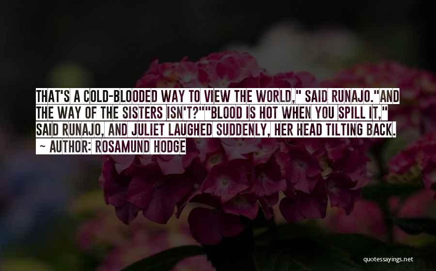 World Is Cold Quotes By Rosamund Hodge