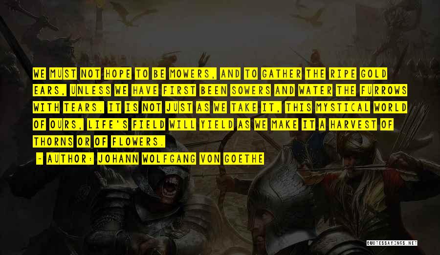 World Is Ours Quotes By Johann Wolfgang Von Goethe