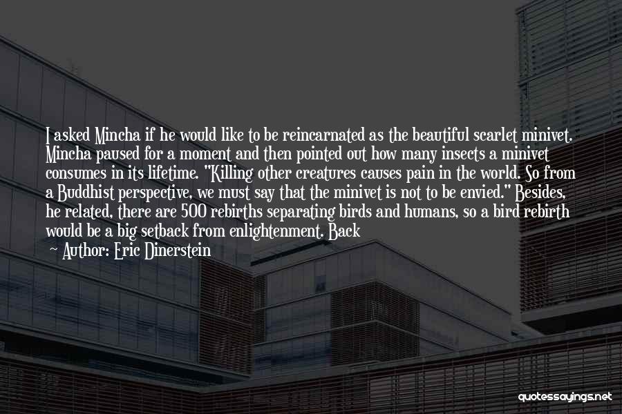 World Is So Beautiful Quotes By Eric Dinerstein