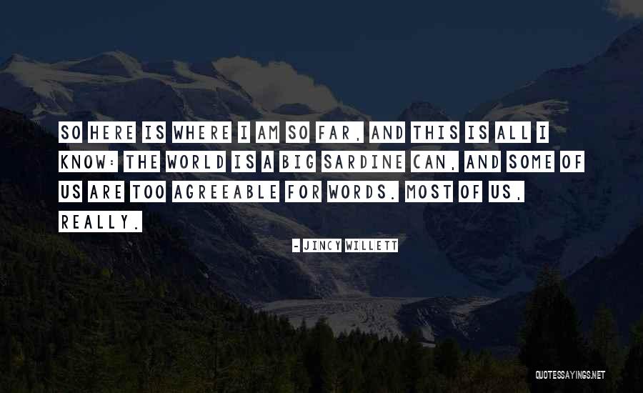World Is So Big Quotes By Jincy Willett World Is So Big Quotes By Jincy Willett