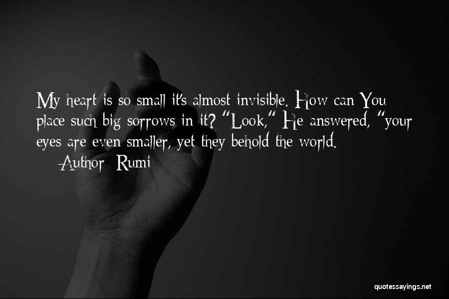 World Is So Small Quotes By Rumi