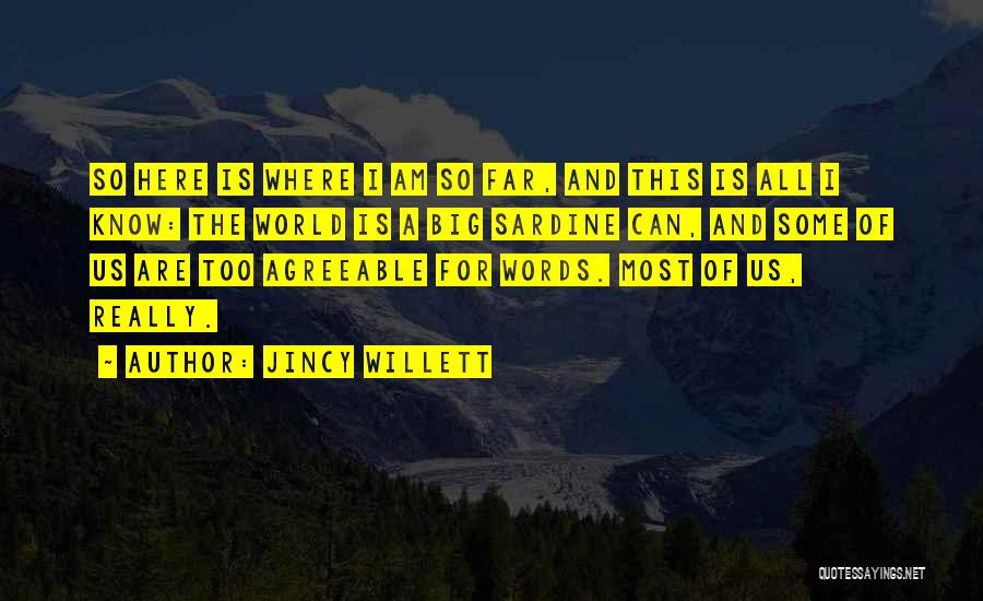 World Is Too Big Quotes By Jincy Willett