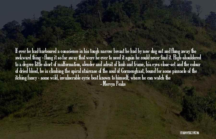 World Is Tough Quotes By Mervyn Peake World Is Tough Quotes By Mervyn Peake