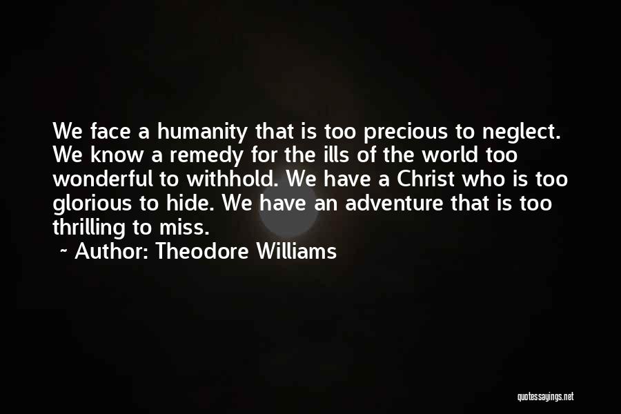World Is Wonderful Quotes By Theodore Williams