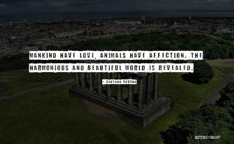 World Kindness Quotes By Gautama Buddha World Kindness Quotes By Gautama Buddha