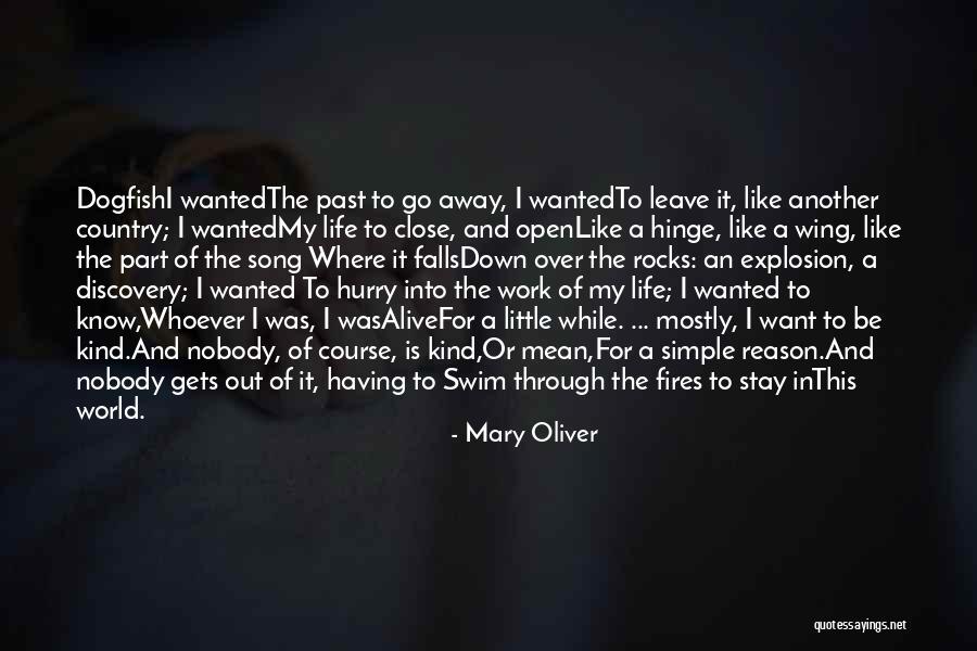 World Kindness Quotes By Mary Oliver World Kindness Quotes By Mary Oliver