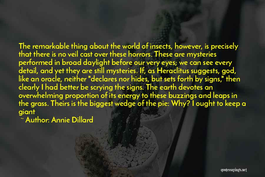 World Nature Quotes By Annie Dillard