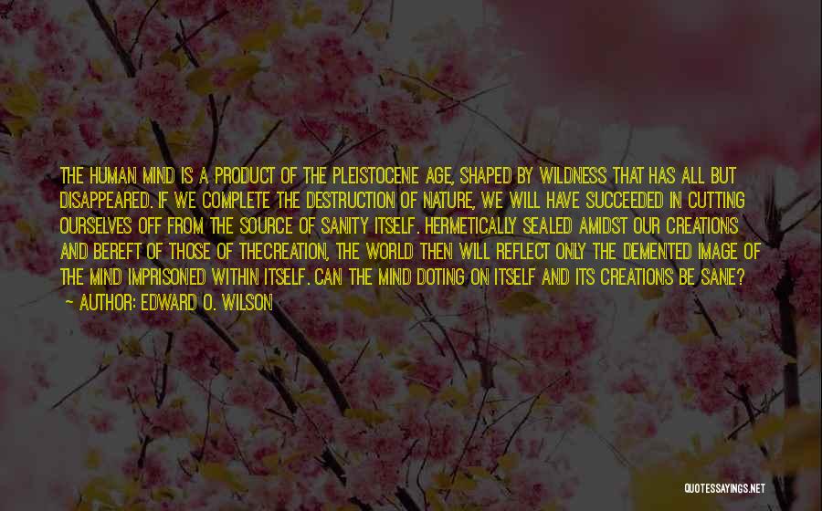 World Nature Quotes By Edward O. Wilson