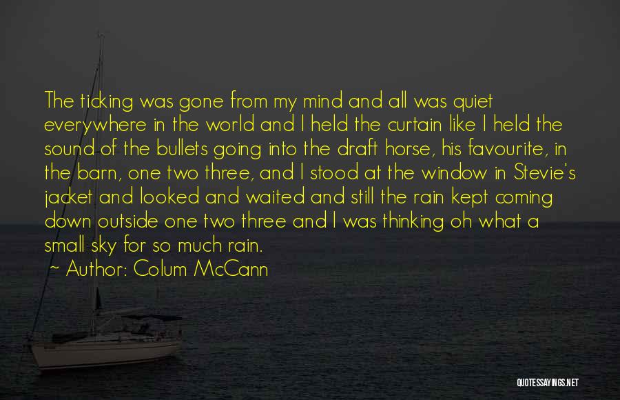 World Outside My Window Quotes By Colum McCann