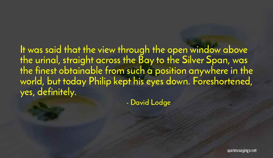 World Outside My Window Quotes By David Lodge