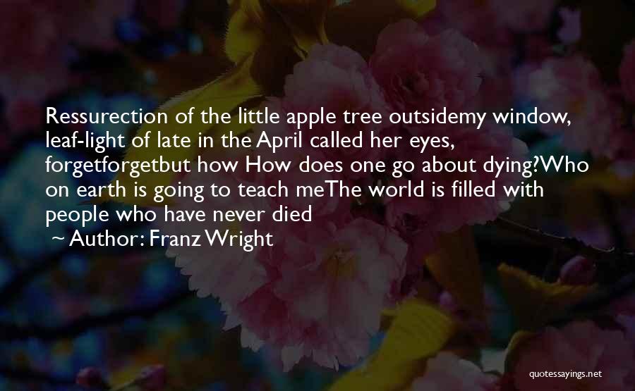 World Outside My Window Quotes By Franz Wright