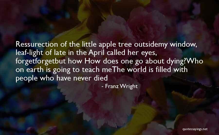 World Outside My Window Quotes By Franz Wright