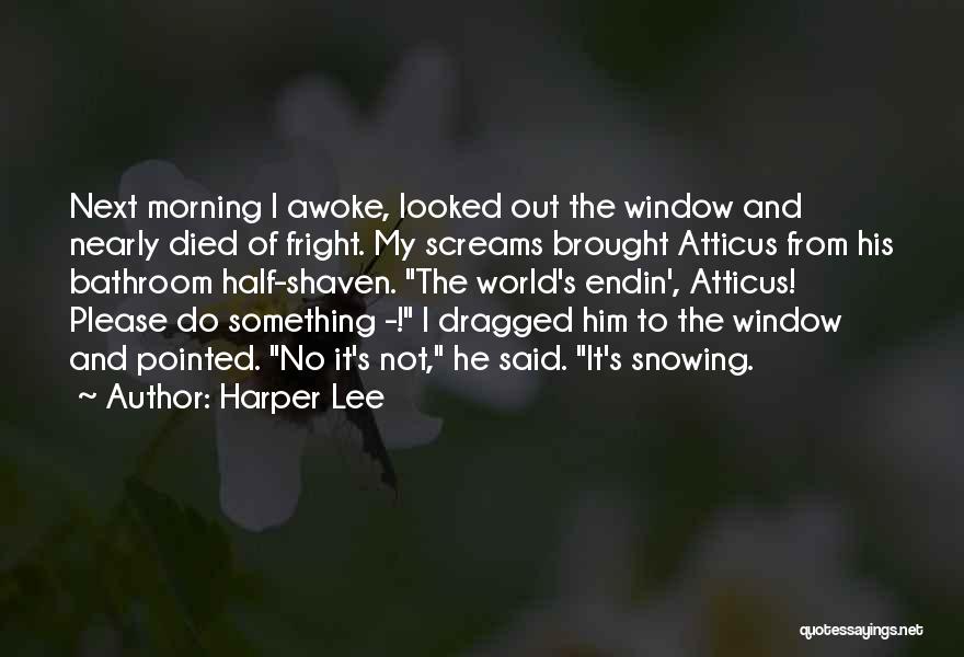 World Outside My Window Quotes By Harper Lee