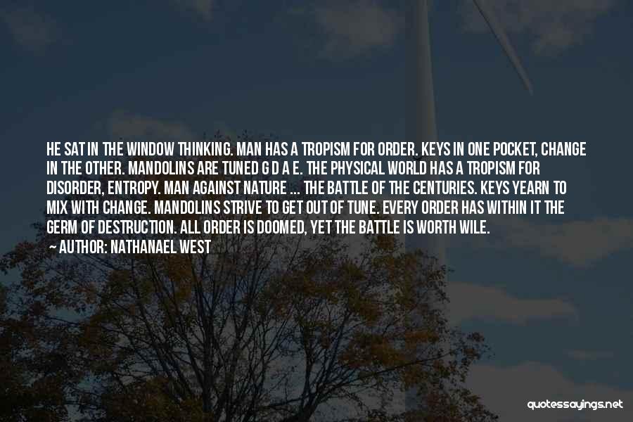 World Outside My Window Quotes By Nathanael West