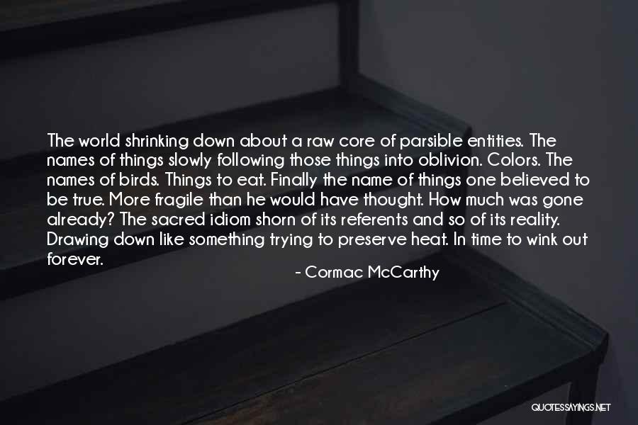 World Shrinking Quotes By Cormac McCarthy World Shrinking Quotes By Cormac McCarthy