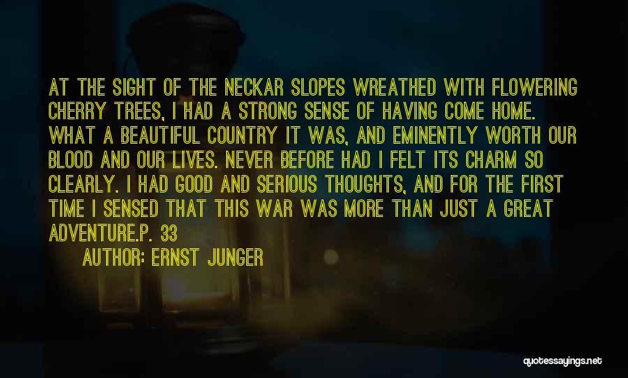 World So Beautiful Quotes By Ernst Junger