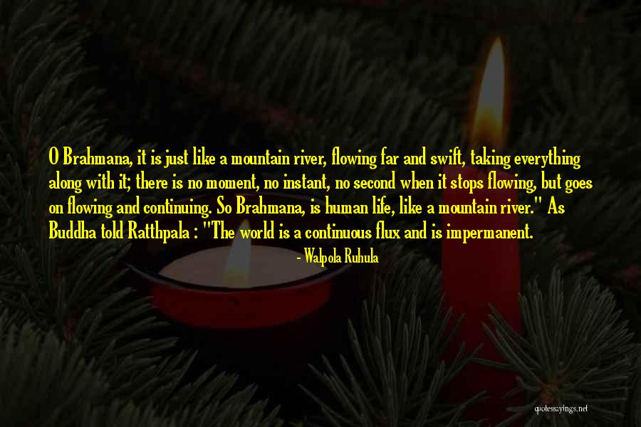 World Stops Quotes By Walpola Ruhula World Stops Quotes By Walpola Ruhula
