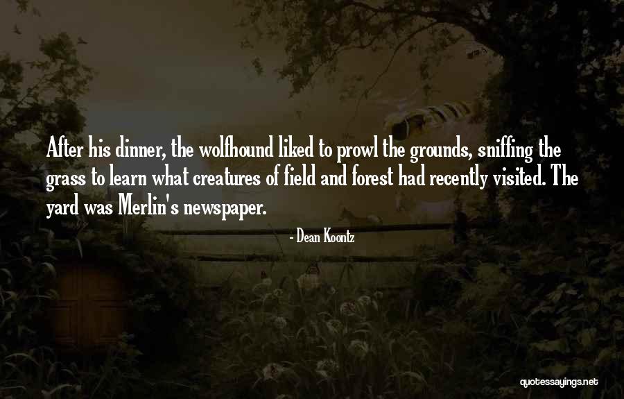 World Surf League Quotes By Dean Koontz World Surf League Quotes By Dean Koontz