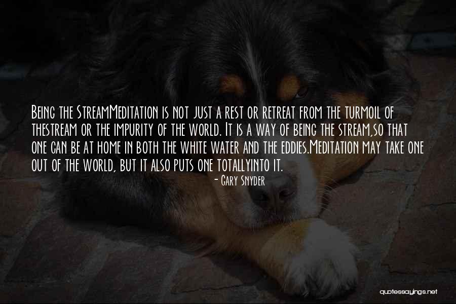 World Water Quotes By Gary Snyder World Water Quotes By Gary Snyder