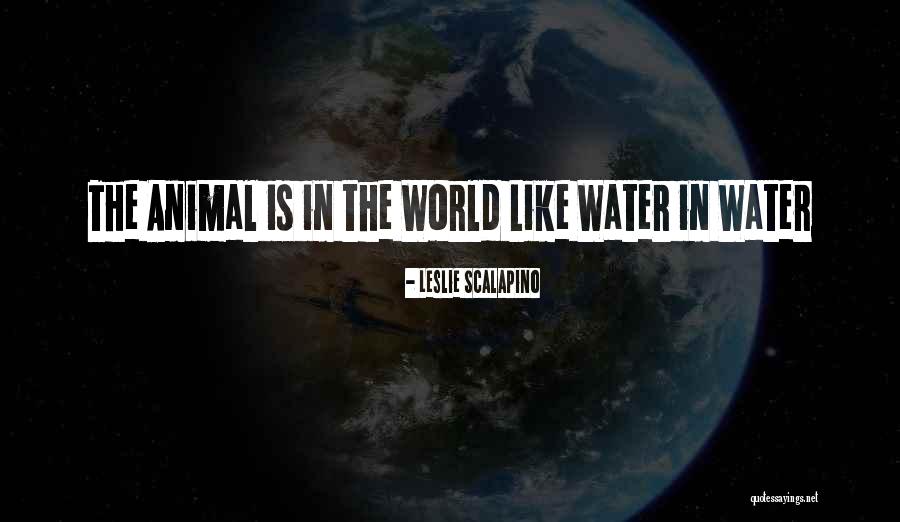 World Water Quotes By Leslie Scalapino World Water Quotes By Leslie Scalapino