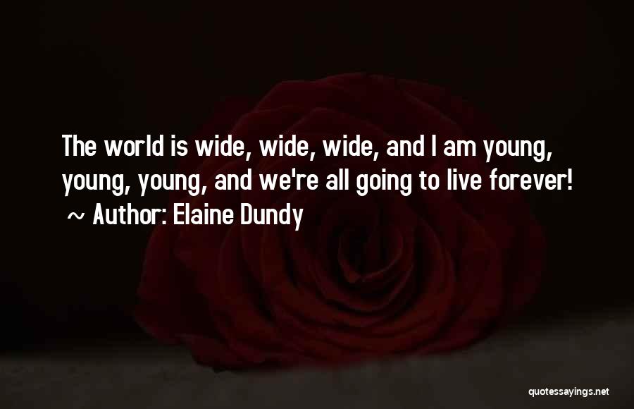 World Wide Quotes By Elaine Dundy