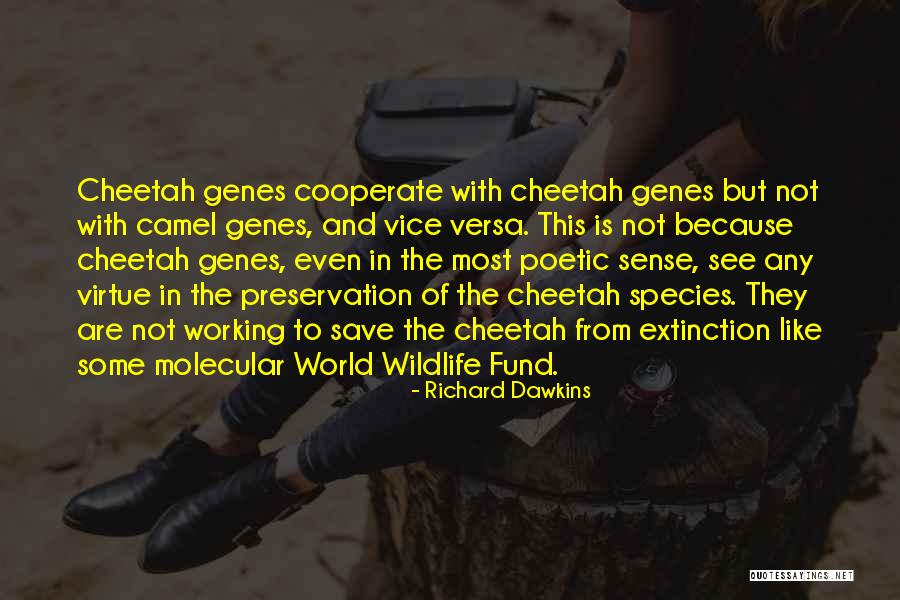 World Wildlife Fund Quotes By Richard Dawkins World Wildlife Fund Quotes By Richard Dawkins