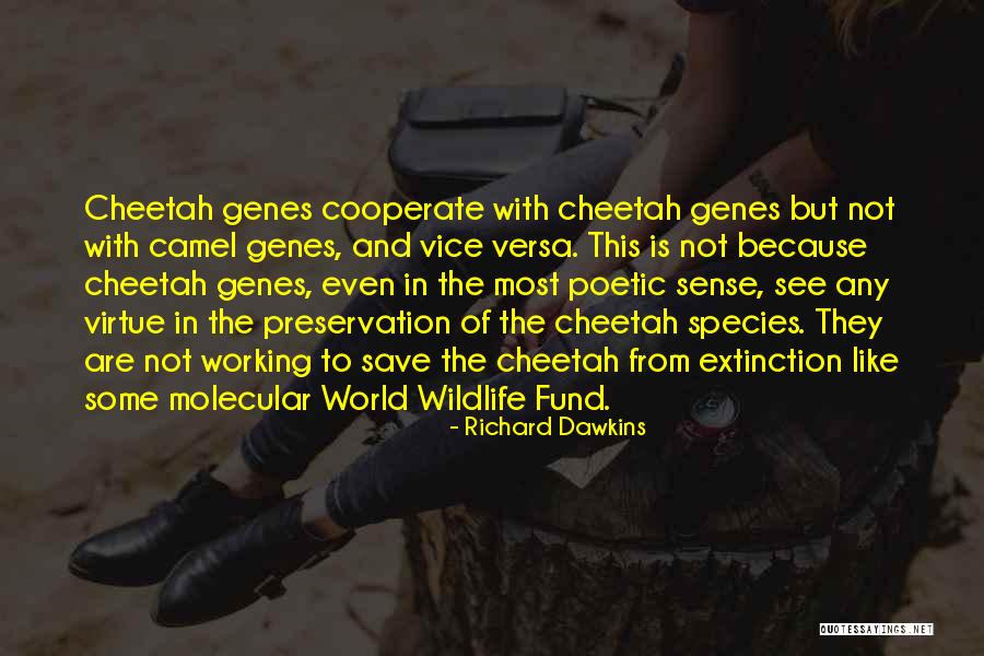 World Wildlife Fund Quotes By Richard Dawkins