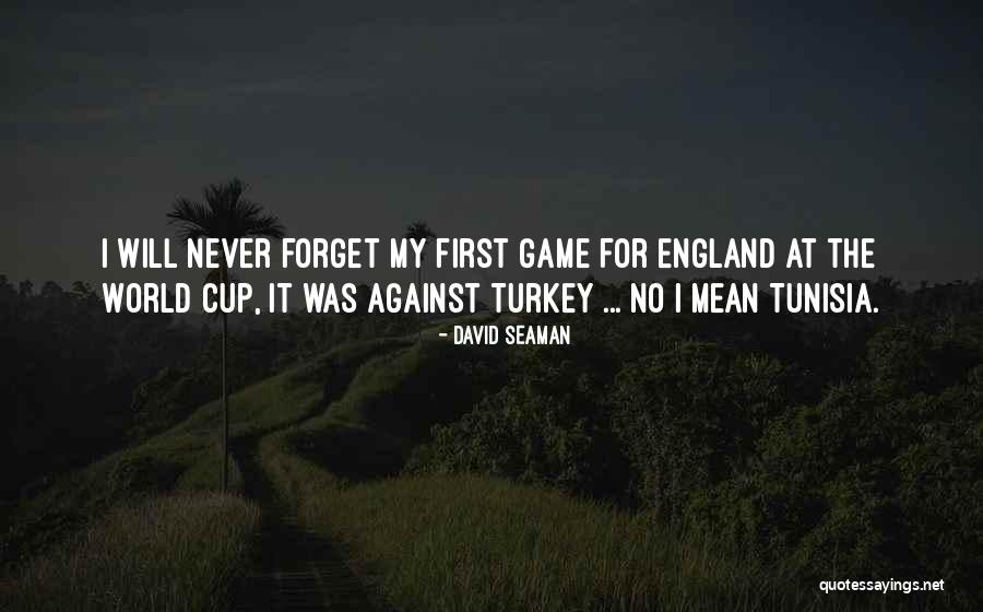 World Will Never Quotes By David Seaman World Will Never Quotes By David Seaman
