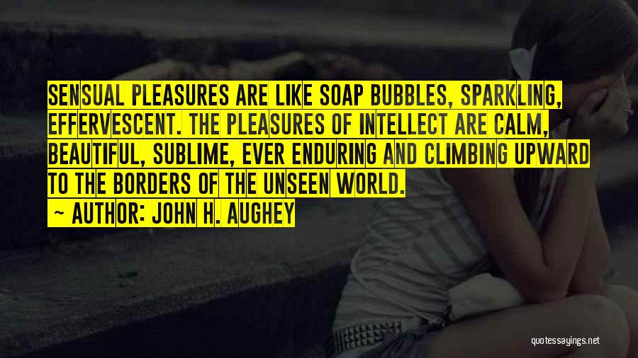 World Without Borders Quotes By John H. Aughey