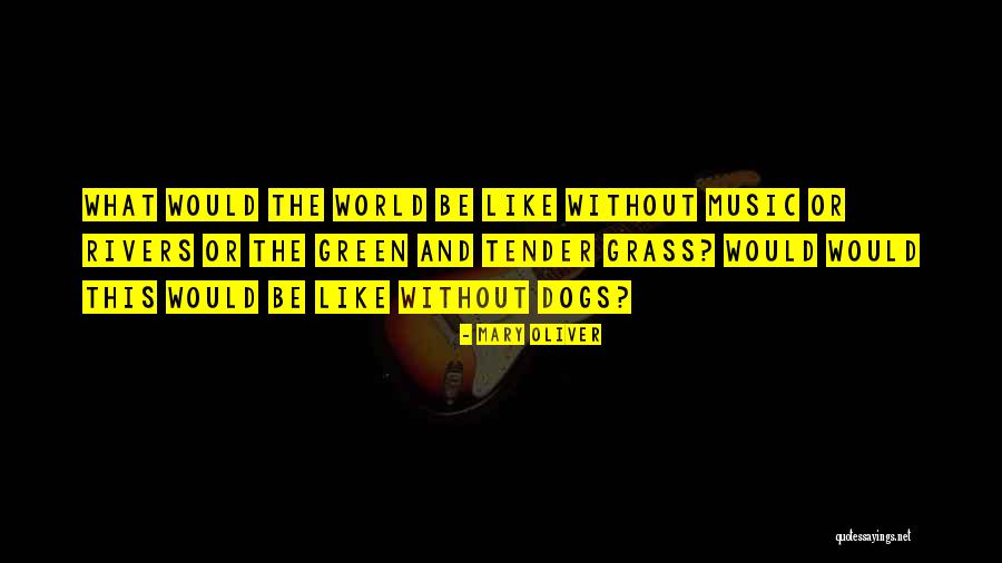 World Without Music Quotes By Mary Oliver World Without Music Quotes By Mary Oliver