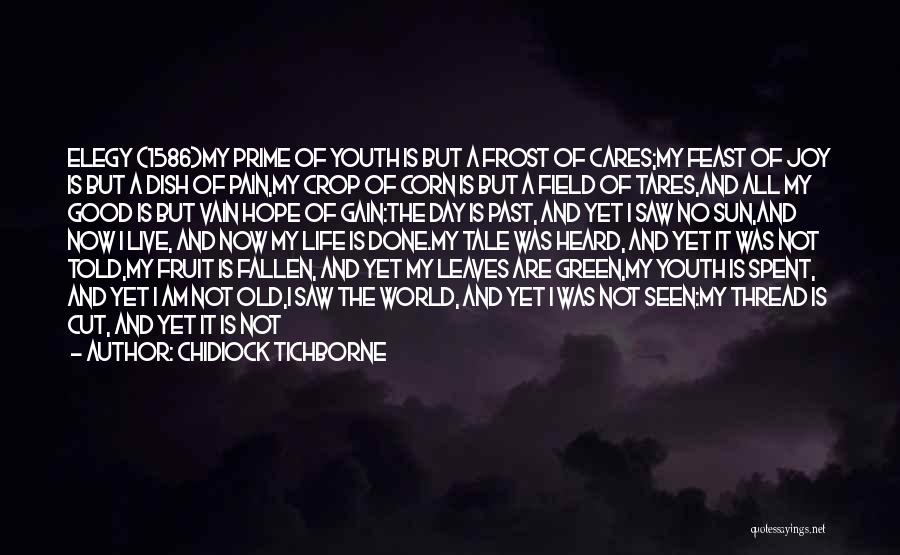 World Youth Day Quotes By Chidiock Tichborne