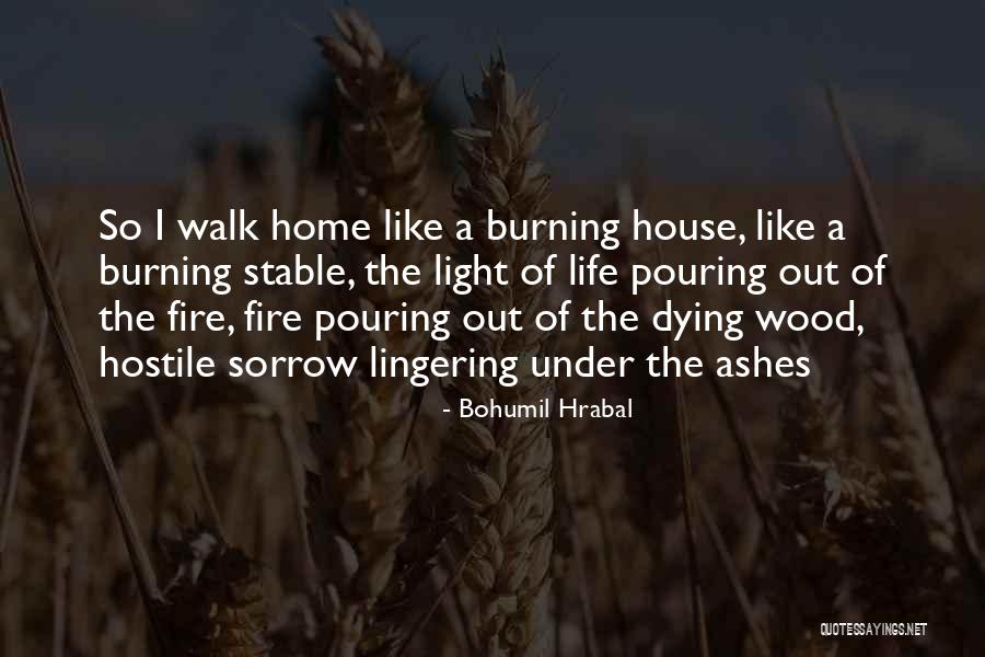 Worldinfo Quotes By Bohumil Hrabal Worldinfo Quotes By Bohumil Hrabal