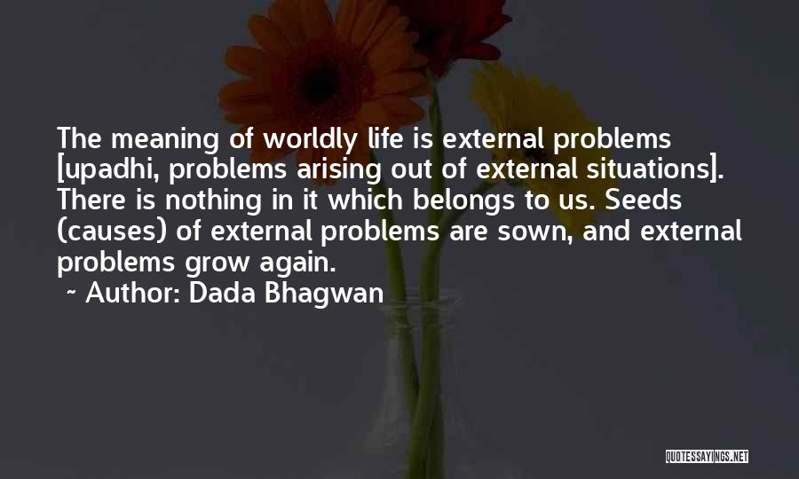 Worldly Life Quotes By Dada Bhagwan