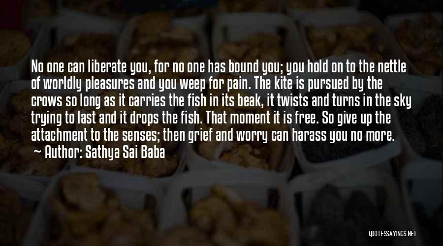 Worldly Pleasures Quotes By Sathya Sai Baba