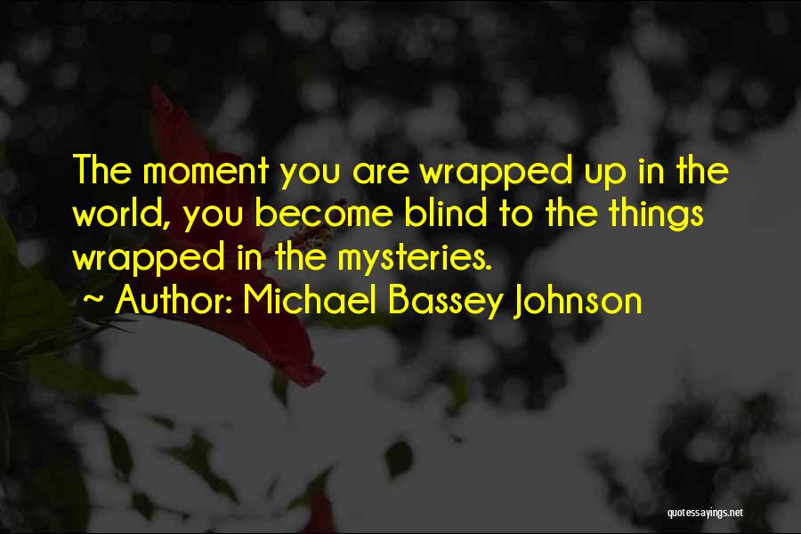 Worldly Things Quotes By Michael Bassey Johnson