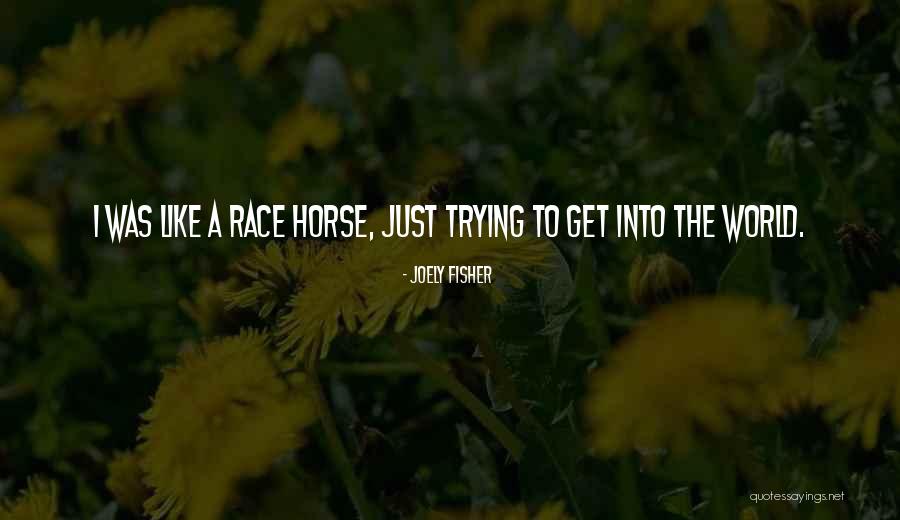 World's Best Horse Quotes By Joely Fisher