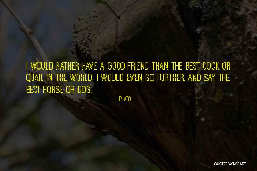 World's Best Horse Quotes By Plato