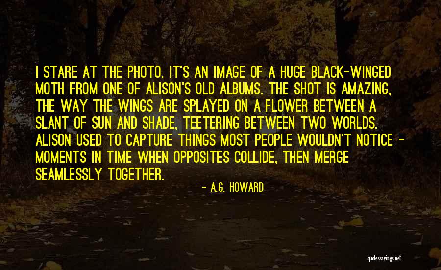 Worlds Collide Quotes By A.G. Howard Worlds Collide Quotes By A.G. Howard
