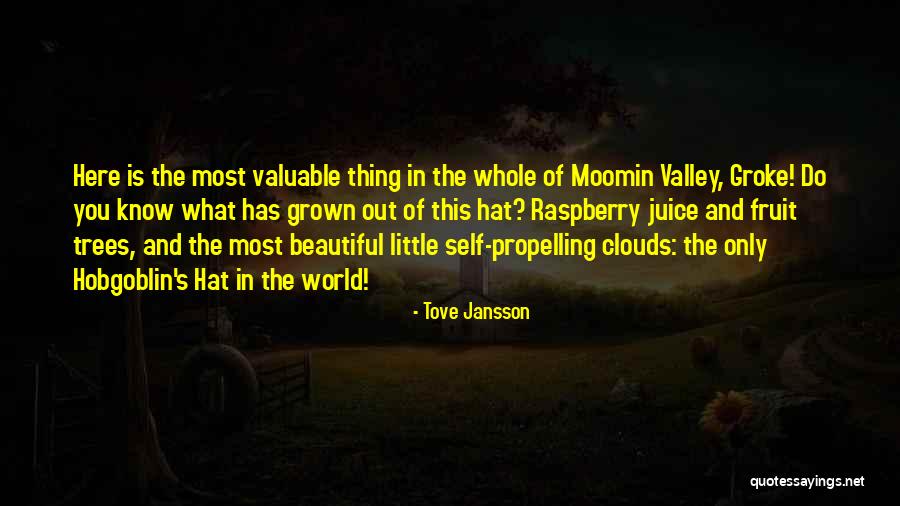 World's Most Valuable Quotes By Tove Jansson