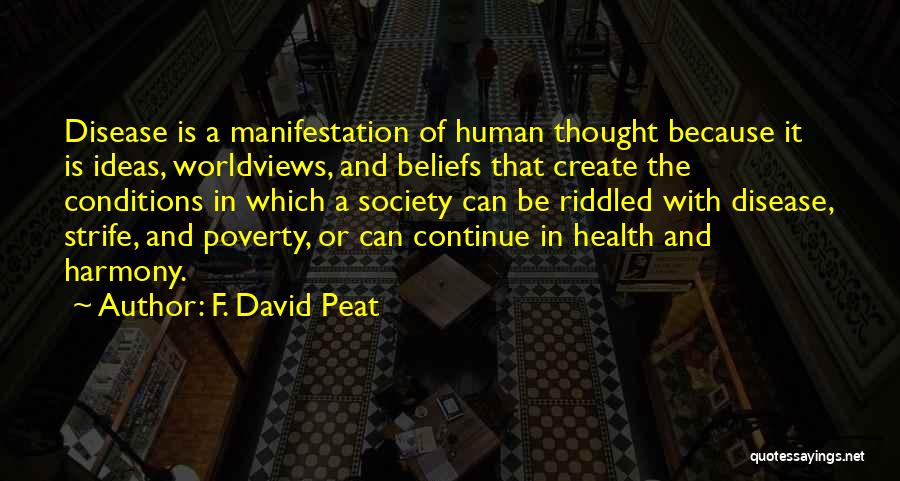 Worldviews Quotes By F. David Peat