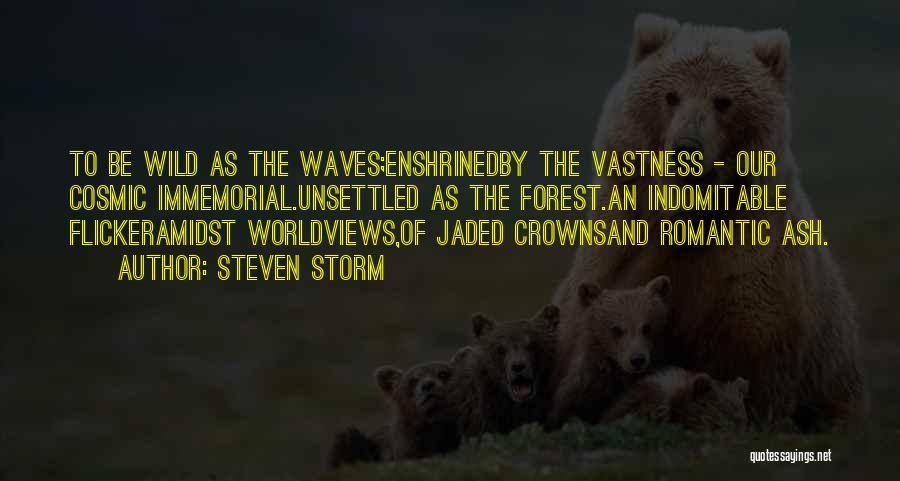 Worldviews Quotes By Steven Storm