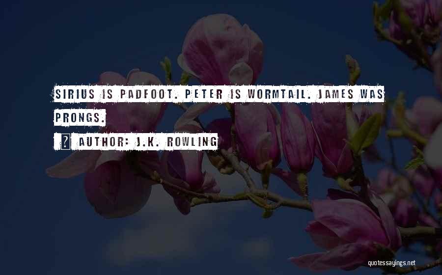 Wormtail Quotes By J.K. Rowling