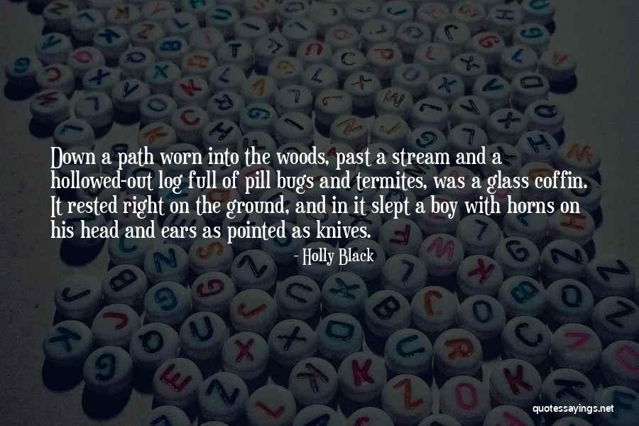 Worn Path Quotes By Holly Black Worn Path Quotes By Holly Black
