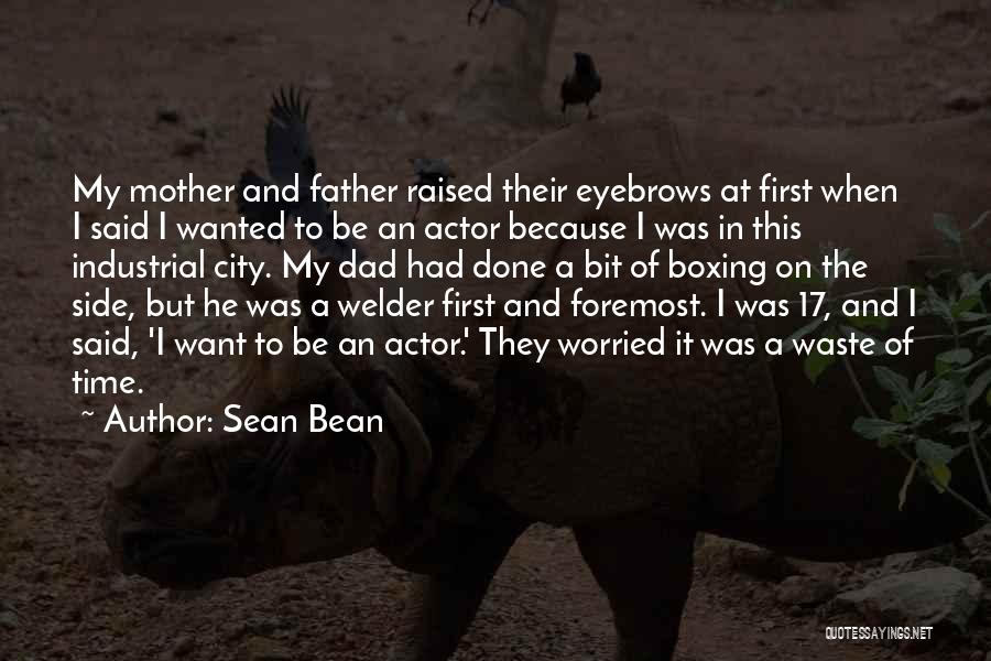 Worried Mother Quotes By Sean Bean