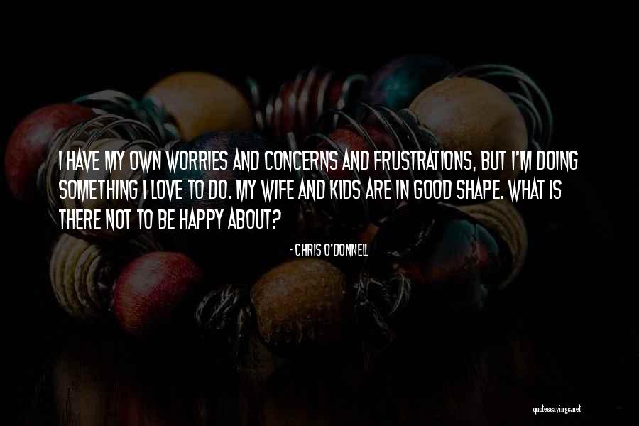 Worries About Love Quotes By Chris O'Donnell